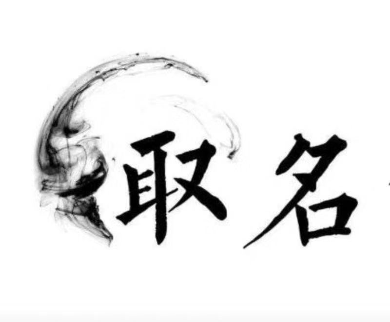  梅里斯宝宝取名 大师一对一人工起名