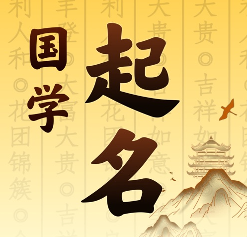 梅里斯国学起名 人工起名一对一